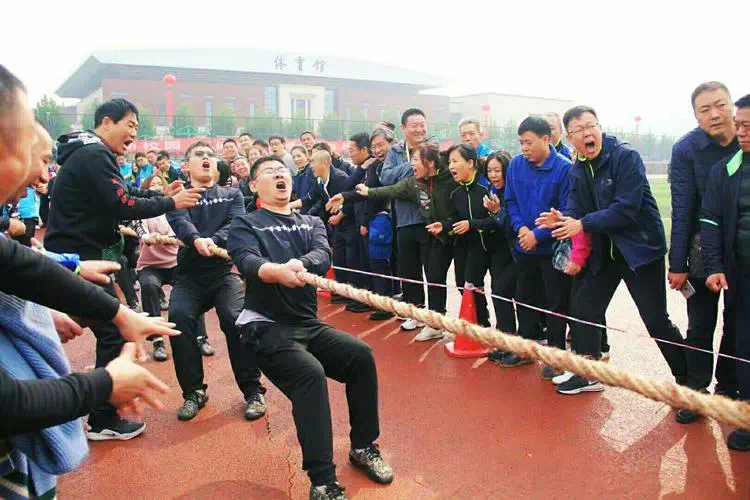 网球拍的拍面什么材质